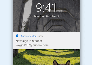screen